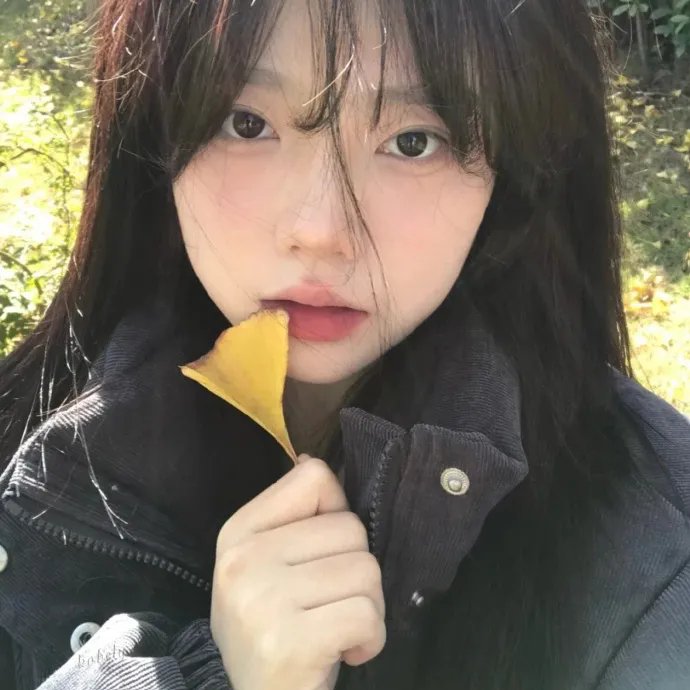 魔法坏女巫：第二部封面
