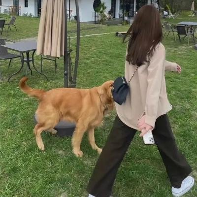 疯狂农庄封面